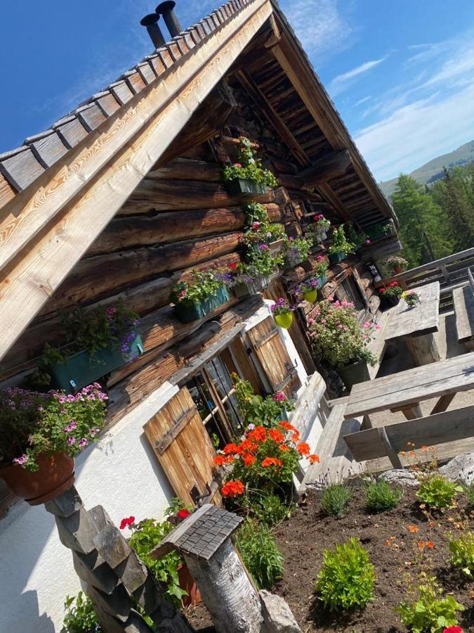 Wolfgangsee Seeblickplatzl 220 - Mit Tollem Seeblick! Strobl Exterior photo
